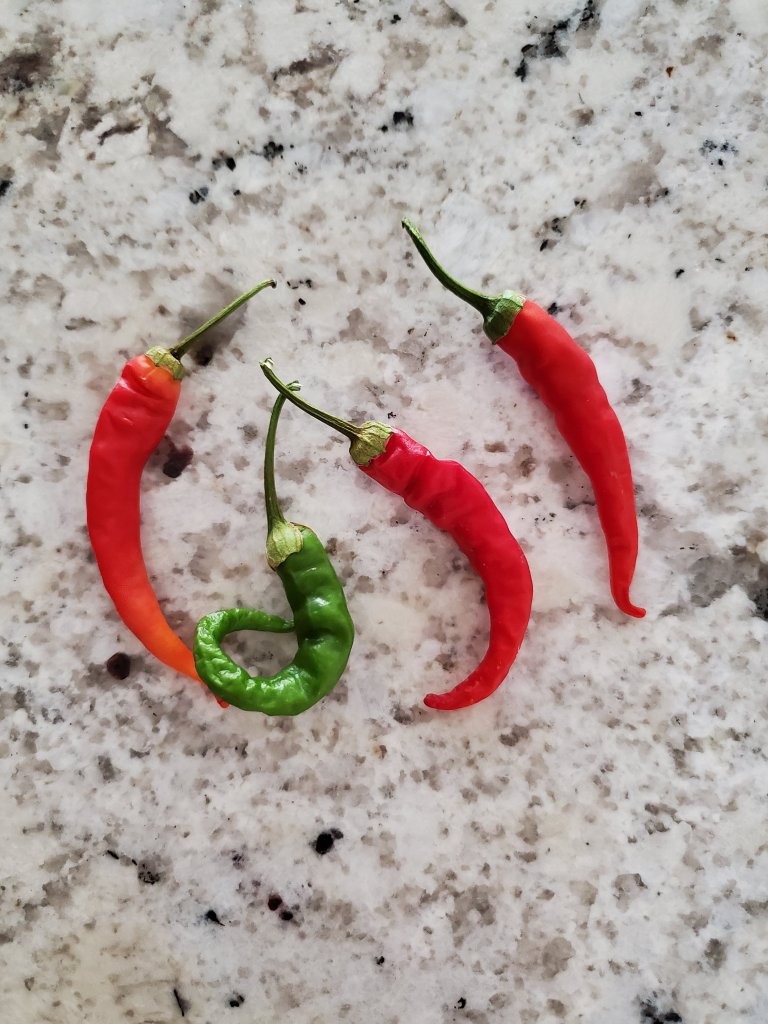 Hot peppers on counter